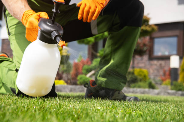 Best Affordable Pest Control Services  in Lake Butler, FL