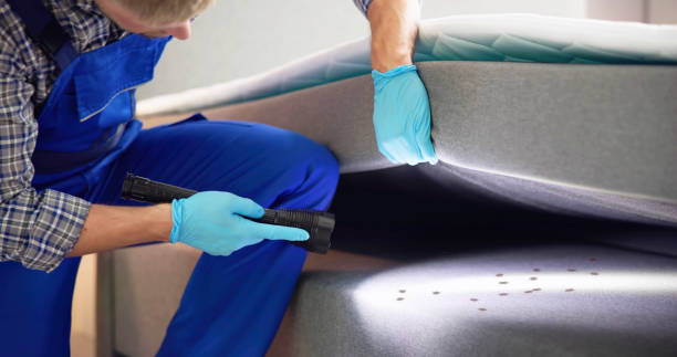 Reliable Lake Butler, FL Pest Control Solutions