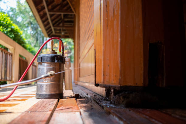 Best Wasp Removal Services  in Lake Butler, FL