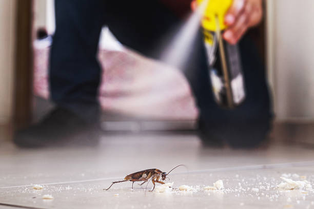 Best Wasp Removal Services  in Lake Butler, FL