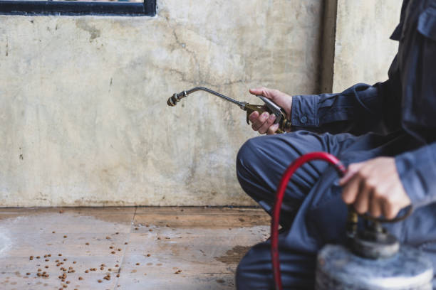 Best Affordable Pest Control Services  in Lake Butler, FL